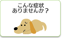 診察案内のページのバナー